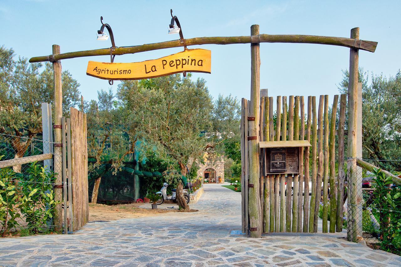 Agriturismo La Peppina Massa Lubrense Exterior photo
